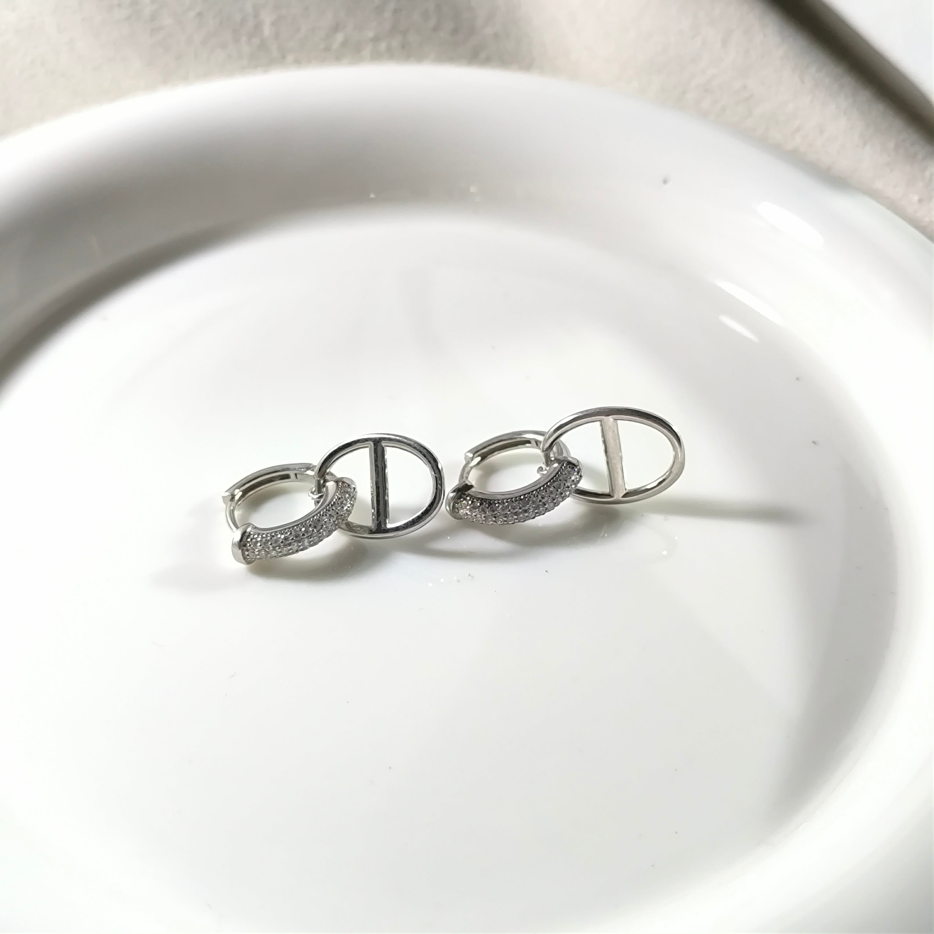 Silver Signature Circle Earrings – Chic Modern Zircon